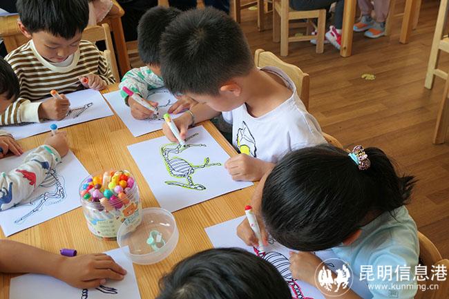 小朋友將一張只有骨骼形態(tài)的畫涂抹還原出動物原本的形態(tài)樣貌
