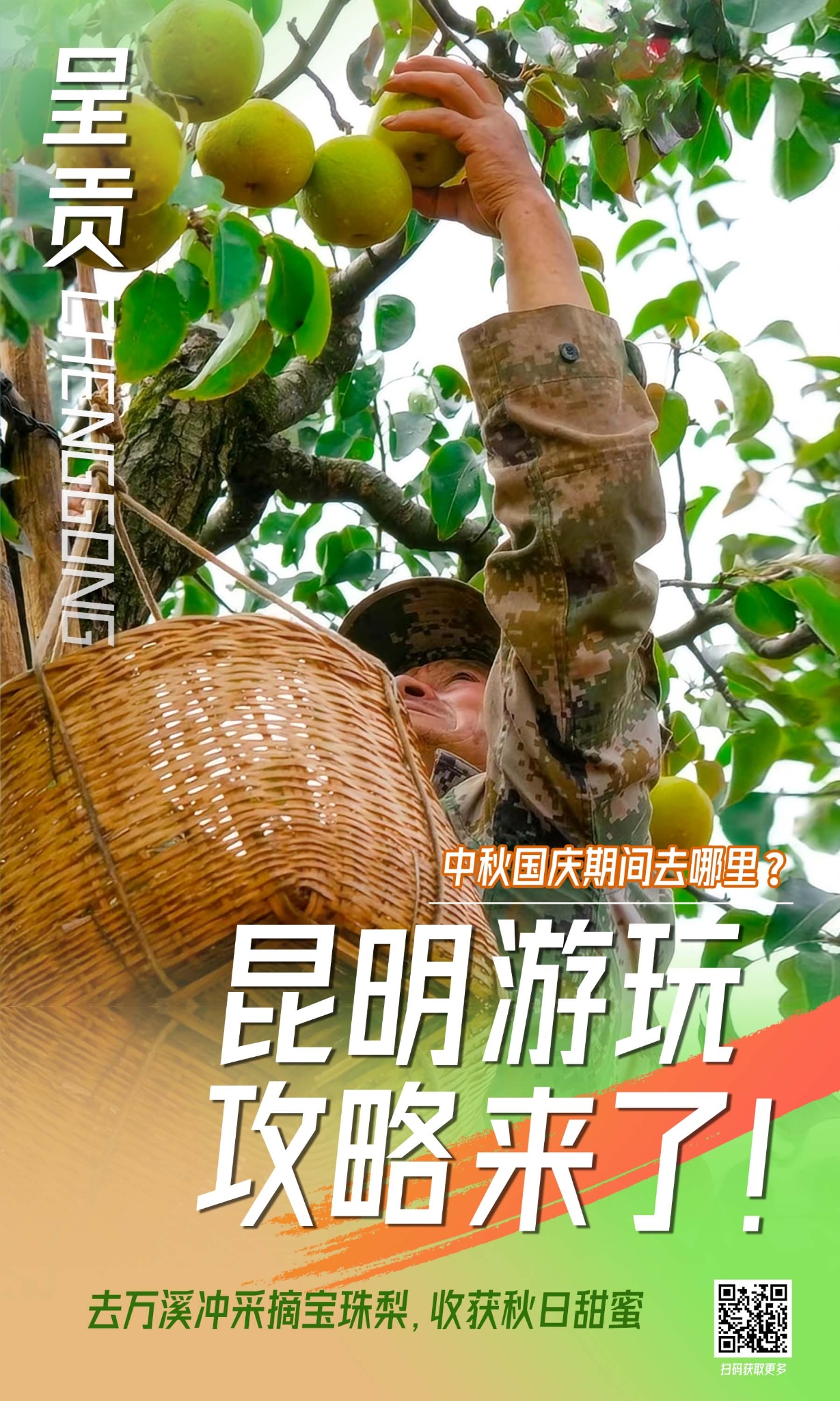 呈貢區(qū) 寶珠梨海報(bào) 呈貢區(qū) 寶珠梨海報(bào)