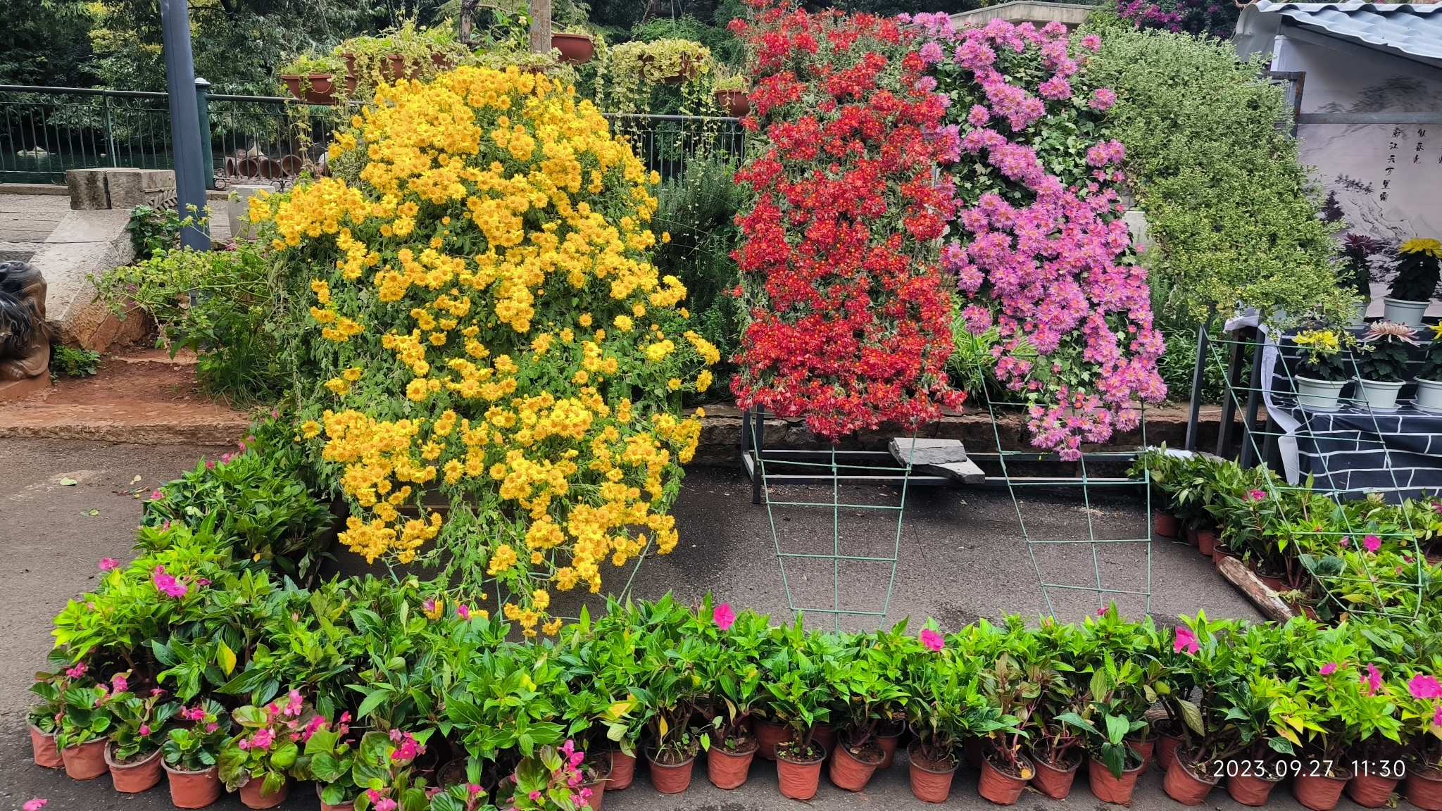 831ab955-e3df-47e7-8ef1-8464dda24c61 831ab955-e3df-47e7-8ef1-8464dda24c61