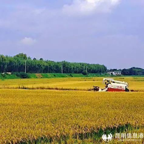 640_wx_fmt=jpeg&wxfrom=5&wx_lazy=1&wx_co=1 (11)