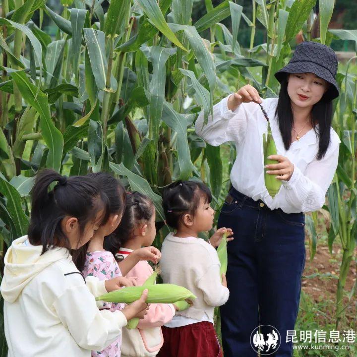 640_wx_fmt=jpeg&wxfrom=5&wx_lazy=1&wx_co=1 (12)