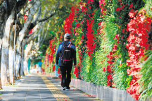 4081696271805062 4081696271805062