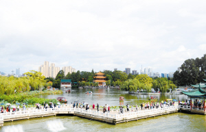 大觀公園游人如織。 記者趙偉攝