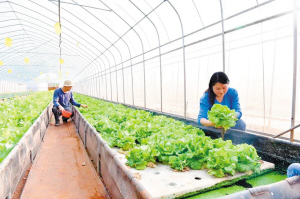 31101697046078645 31101697046078645