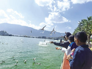 43211697476043341 43211697476043341