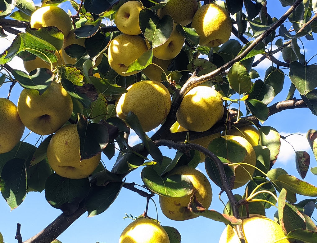 13841_cb312fe9-63ea-4e8b-9b36-7cfe5b086d90