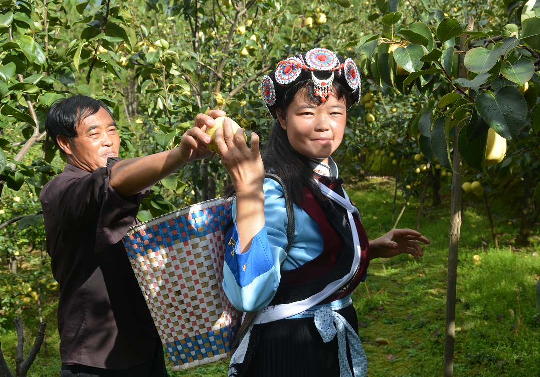 13841_09ba3e12-33c3-4409-b4db-90257fa2d2d7