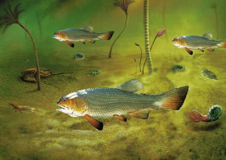 圓尾滇東魚生態(tài)復(fù)原圖