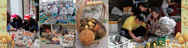 1698956200116_1 1698956200116_1