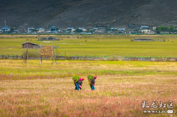 6l6dx1bldud 6l6dx1bldud