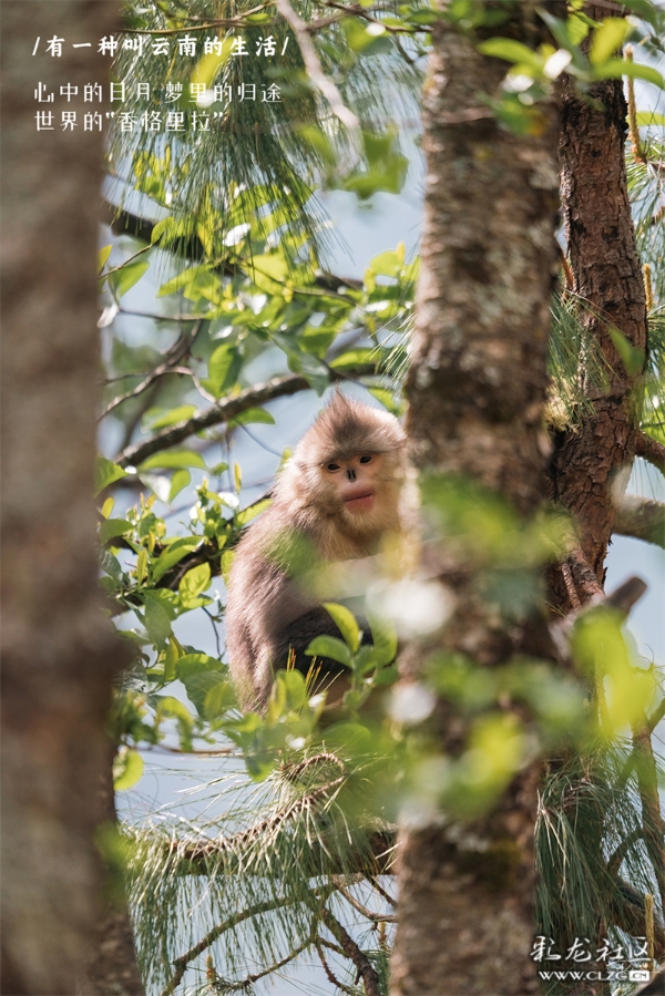 gfuxucggraa gfuxucggraa