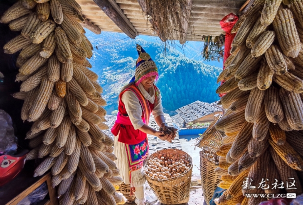 3cdtdm02xq8 3cdtdm02xq8