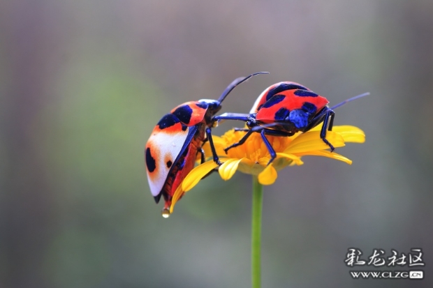 84tbz95ymfe 84tbz95ymfe