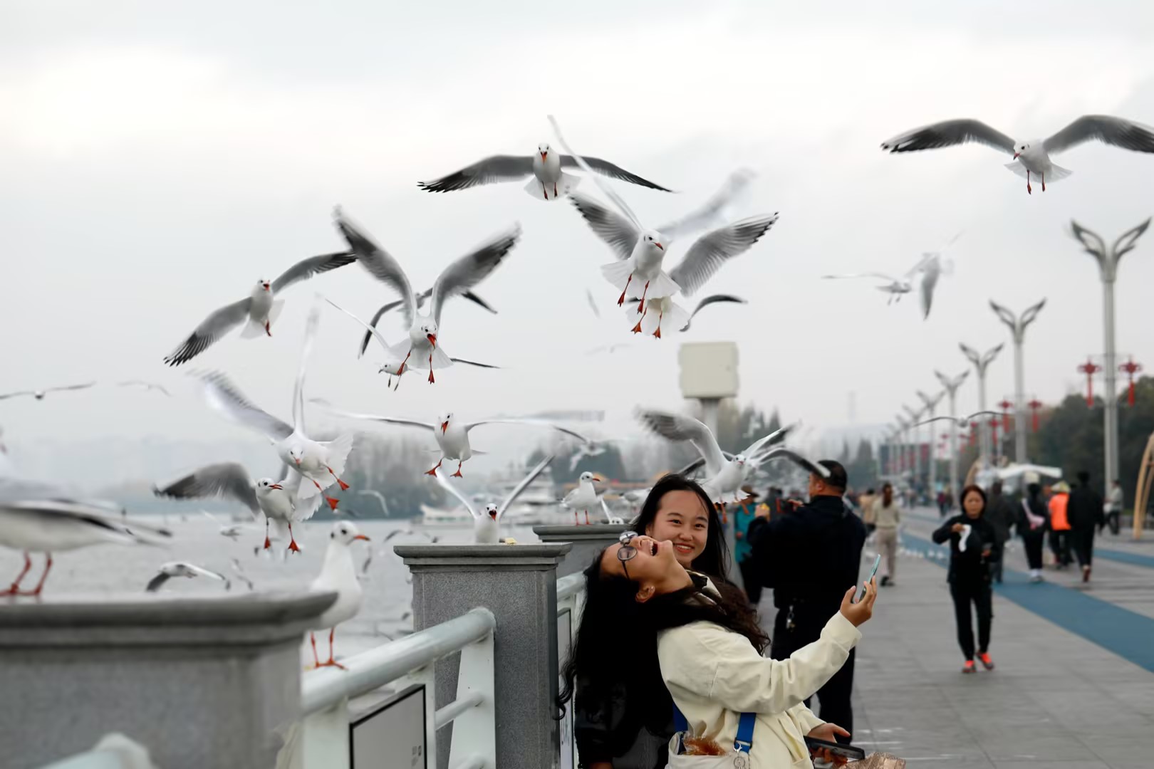 6f96221c362097f36b86424b9770fba2