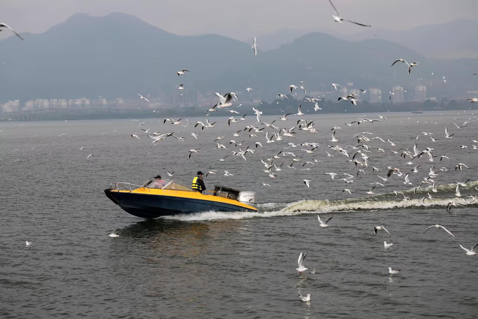 7bea1bf0765a5b9361b190fa62ff3a00