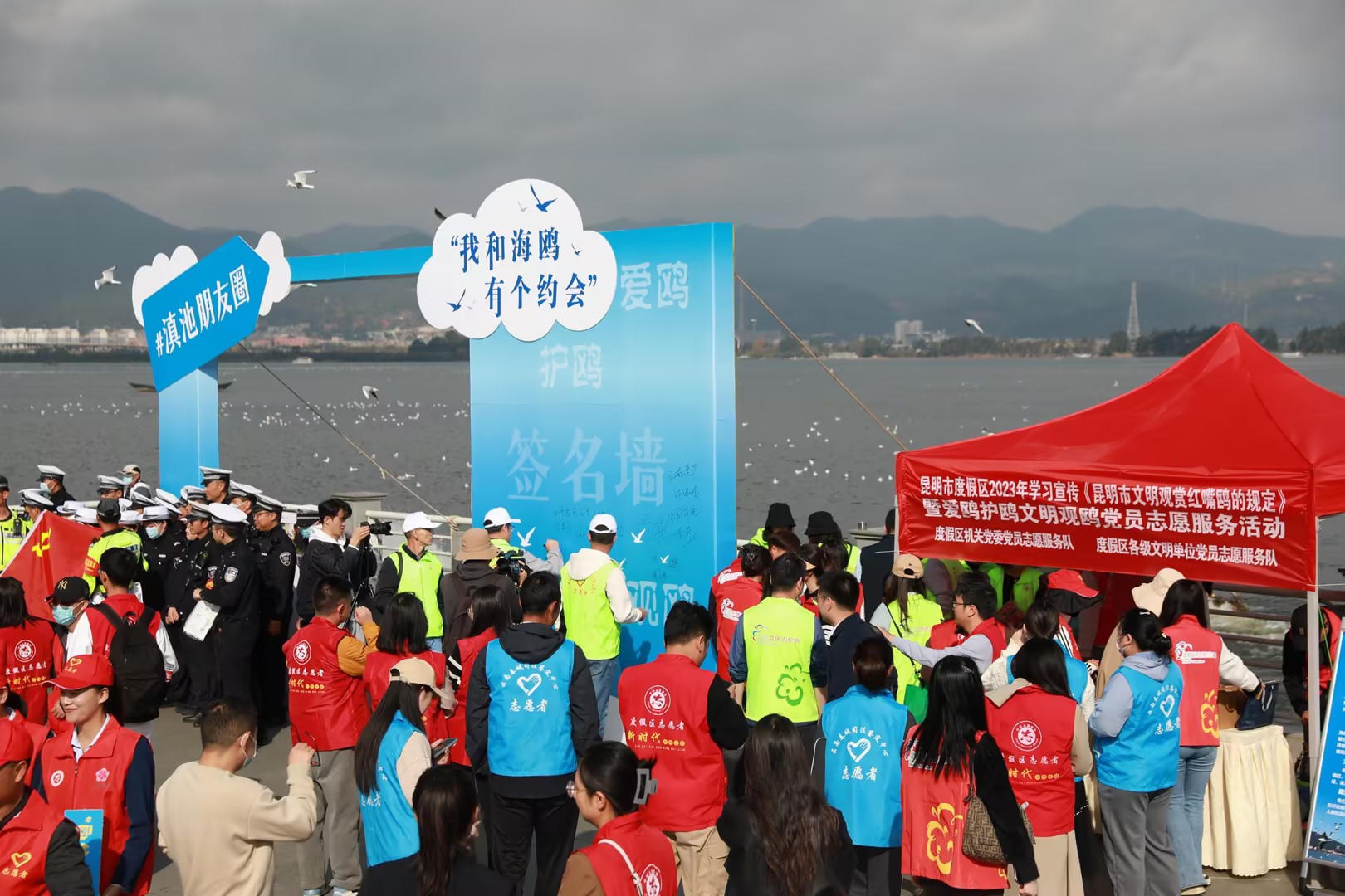 733c8ade8ea0a12122466e6b38632bef