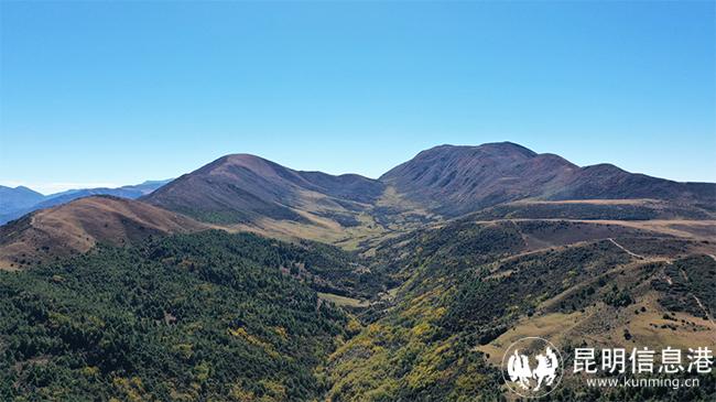 圖片10 拷貝 圖片10 拷貝