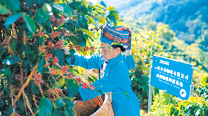 35131699815186504 35131699815186504