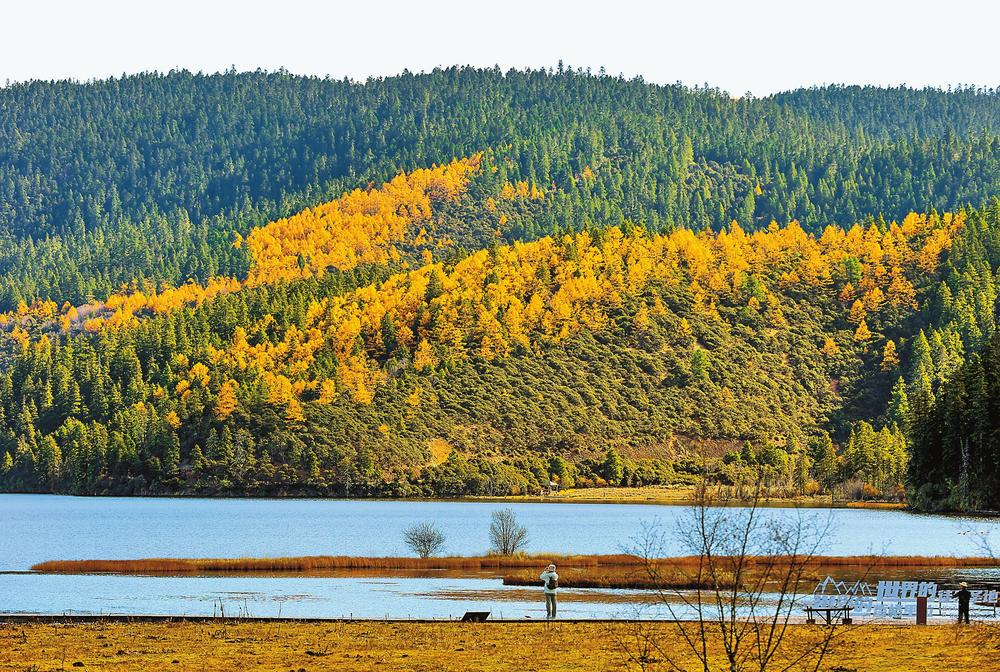 企業(yè)微信截圖_17000072725510