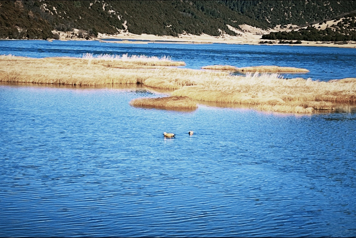 58c74abcfbe1159174ee731dca151a6f 58c74abcfbe1159174ee731dca151a6f