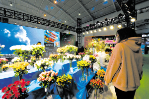 83471700501053849 83471700501053849