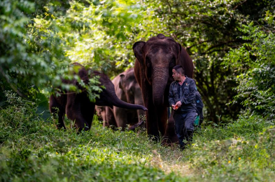 20231115d9c1f50e8080492bb526598d01574e15_202311152690116184fe4cad88b7454bcdb96eb1