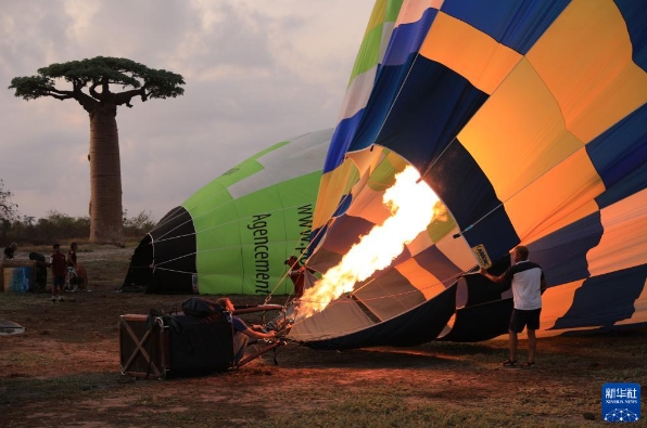 5 - 副本 5 - 副本