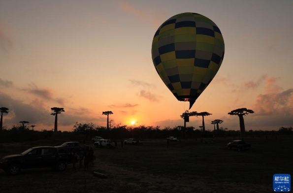 2 - 副本 2 - 副本