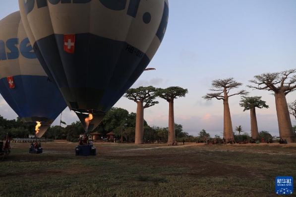 4 - 副本 4 - 副本