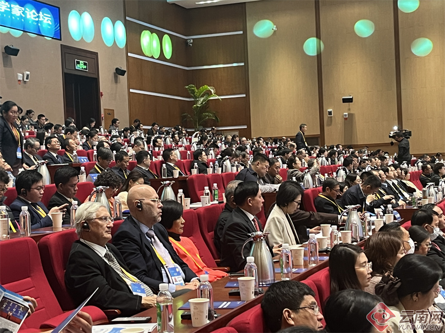 00305866344_a531e4c6