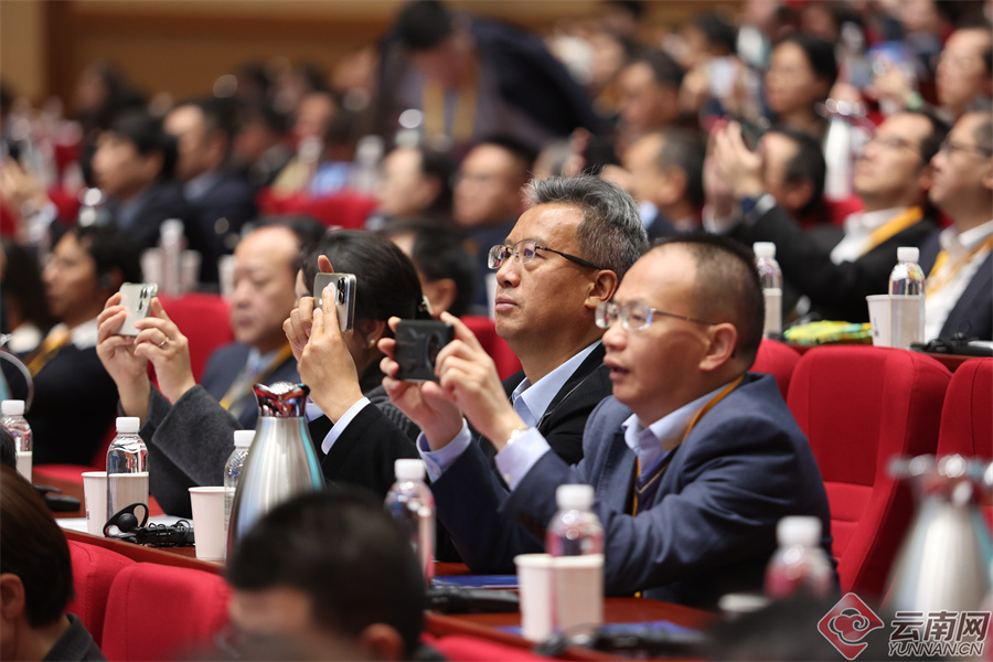 00305866345_cd94413c