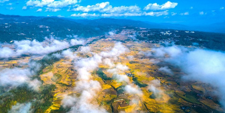 code_ynrbd5d0c497-0d70-4461-9dfb-a057b183344a