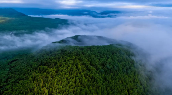 code_ynrb0bf06ca3-59ed-4b9d-bc55-7a18fdb23ffe