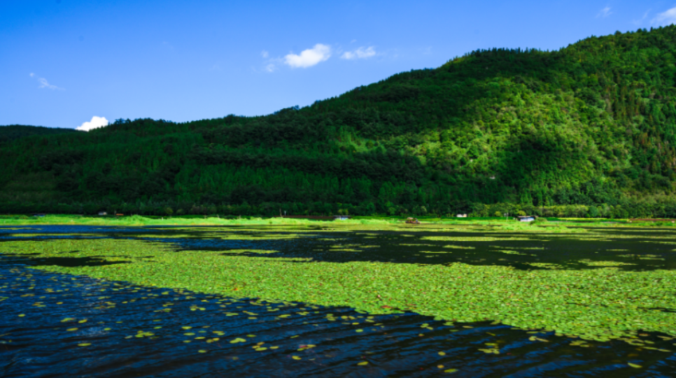 code_ynrbb161a504-a040-4002-aebd-a2a7f0609f5e