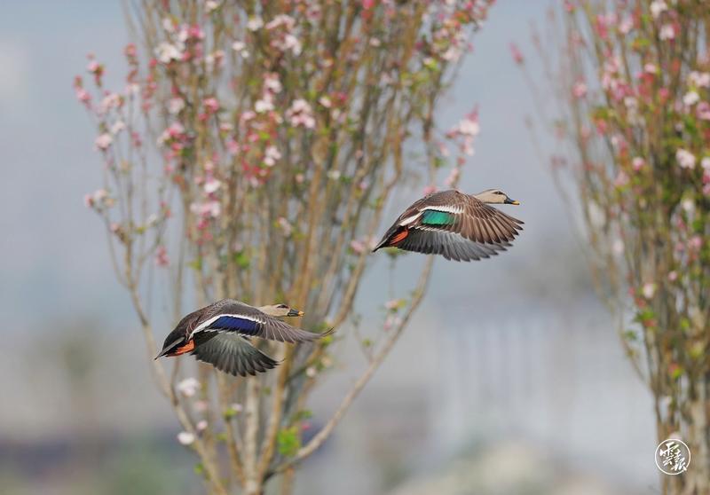 code_ynrbf25cfa97-14e5-4835-9886-e1966e2df9ea