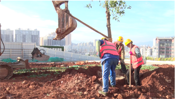 QQ截圖202312031615434 QQ截圖202312031615434