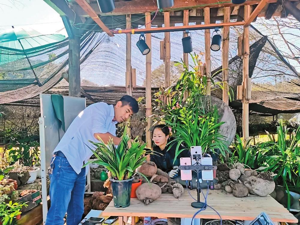 騰沖市甘蔗寨社區(qū)立茵堂直播基地。 供圖