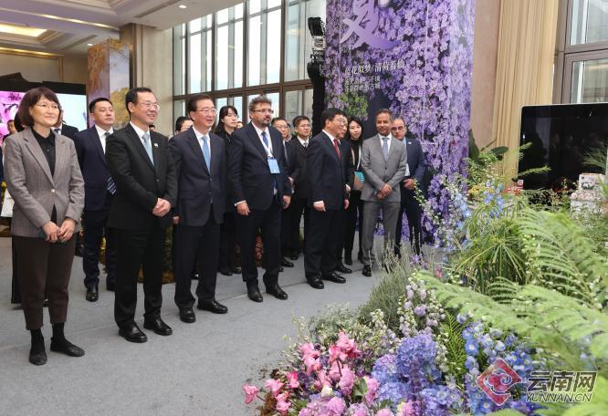 00305874471_daff128f 00305874471_daff128f