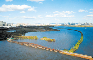 39311702140121506 (1) 39311702140121506 (1)