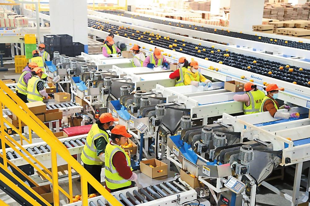 微信圖片_20231210095440 微信圖片_20231210095440