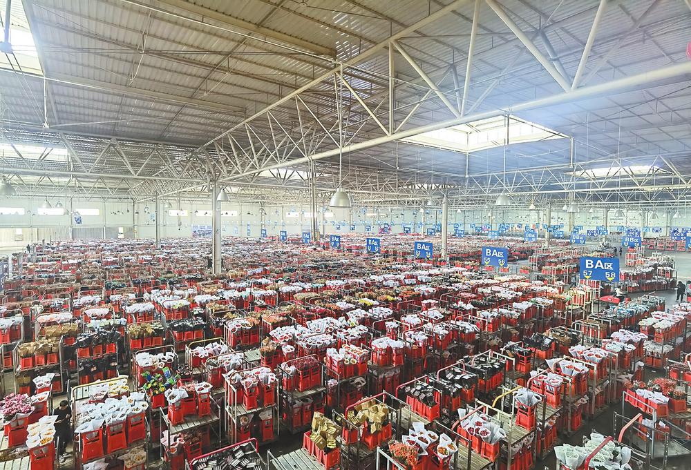 10118ec2-d861-4f60-9729-52a8e86666b2