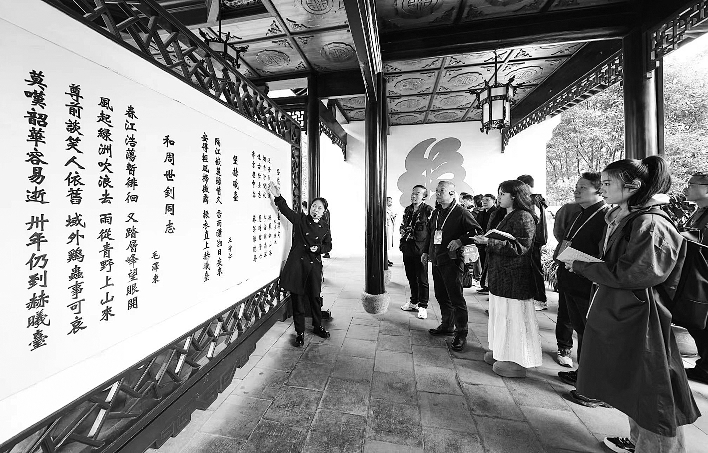 rApntWWaqqaAYsrTAAych-lSLIw482