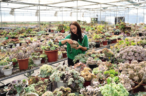 李思敏在查看顧客寄養(yǎng)的多肉植物 　　新華社記者 　　陳欣波 攝