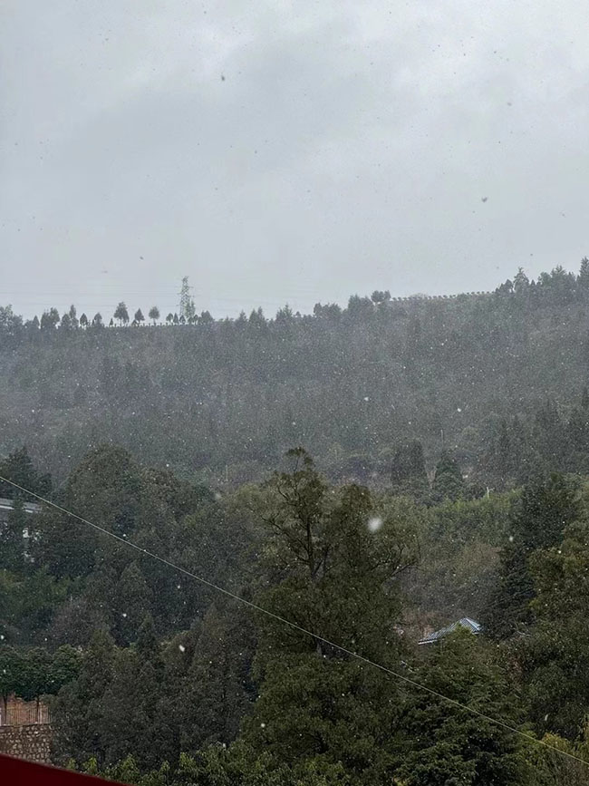 微信圖片_20240122143241