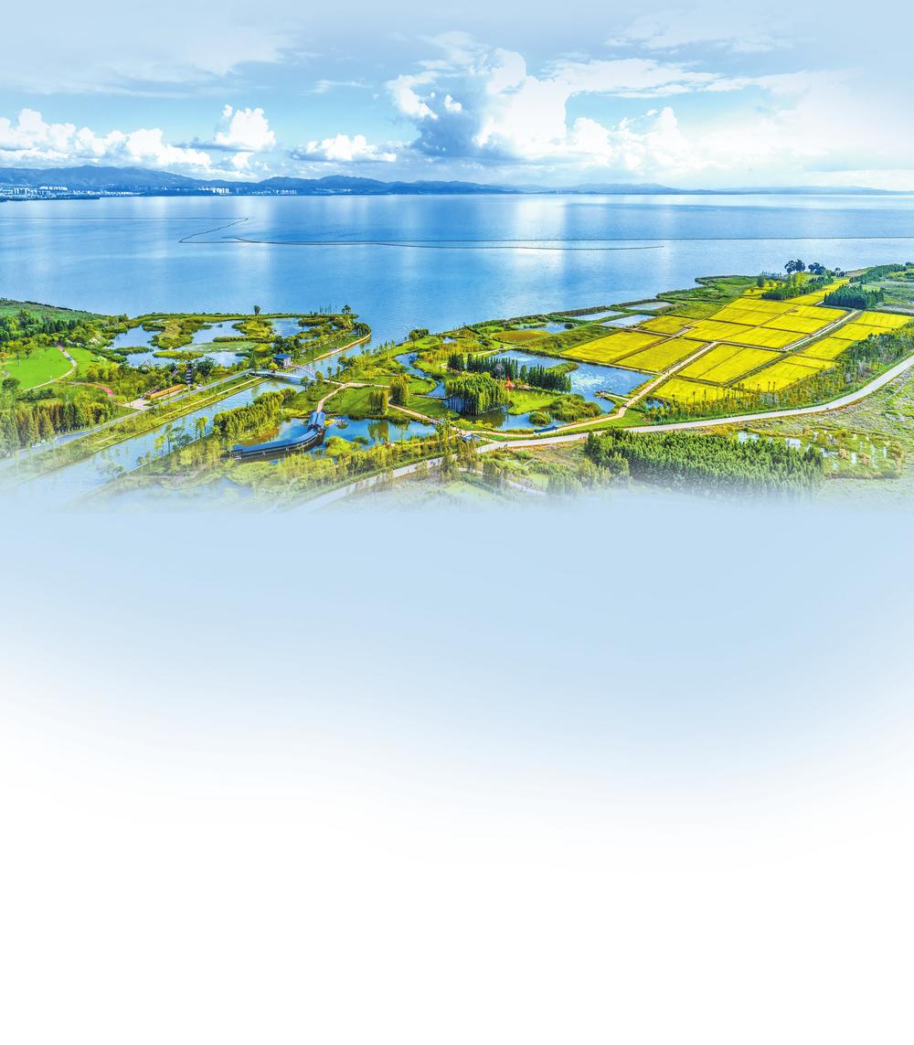 dcbb2fa6-2256-4b97-991a-adcde8356484