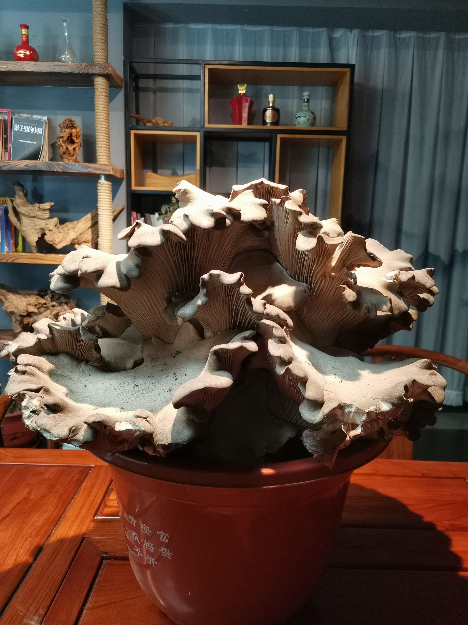 微信圖片_20240128100426