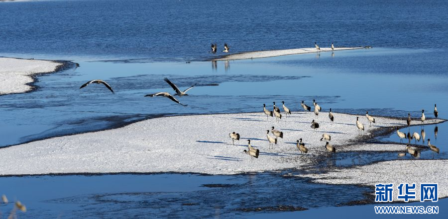 202401287caf3e8f65e5499588e0f0c0e97ddd48_202401265393a98c52eb437db41ac1b36c4cd930