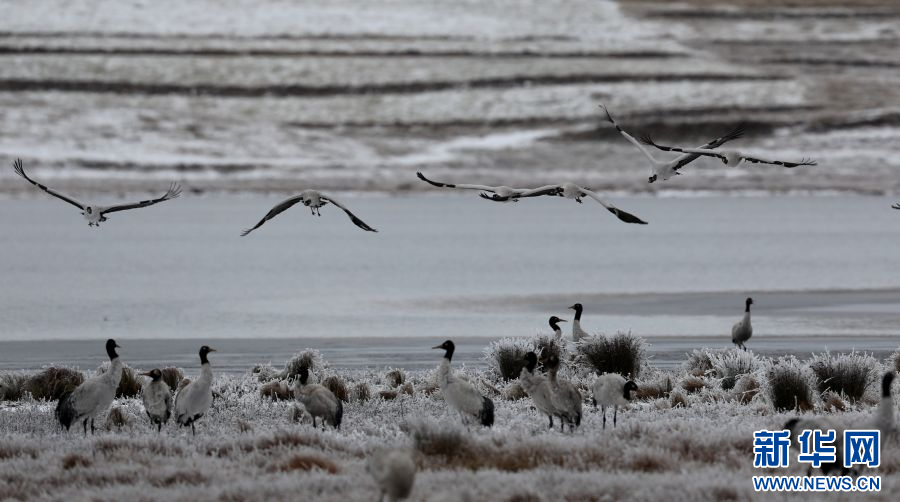 202401287caf3e8f65e5499588e0f0c0e97ddd48_20240126313d967f342346e891fc4ae4056328db