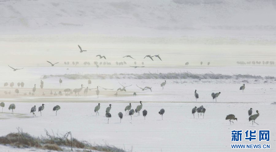 202401287caf3e8f65e5499588e0f0c0e97ddd48_20240126e5a13f8e6d974860bb77fe3dbde4c5ab