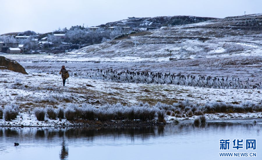 202401287caf3e8f65e5499588e0f0c0e97ddd48_20240126a11af6271491461f88747b27a29f68c9